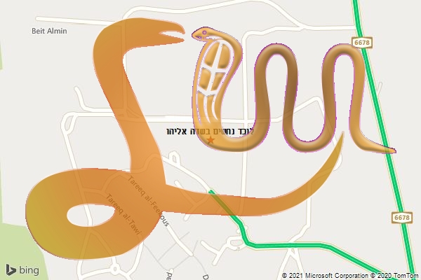 לוכד נחשים בשדה אליהו