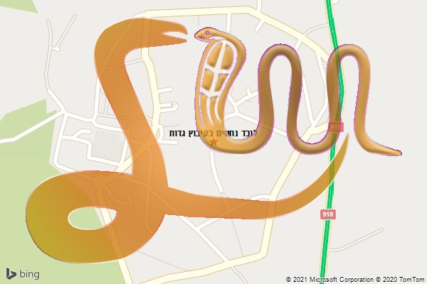 לוכד נחשים בקיבוץ גדות