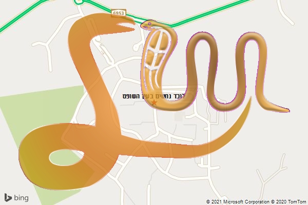 לוכד נחשים בעין השופט