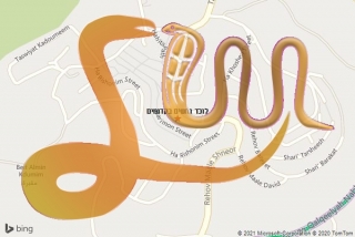 לכידת נחש בקדומים - לוכד נחשים בקדומים