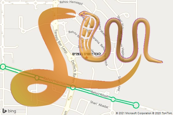 לוכד נחשים בנצרים