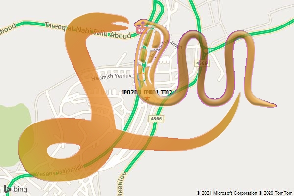 לוכד נחשים בחלמיש