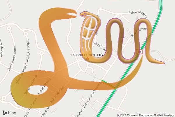 לוכד נחשים בספסופה