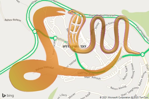 לוכד נחשים בדליה