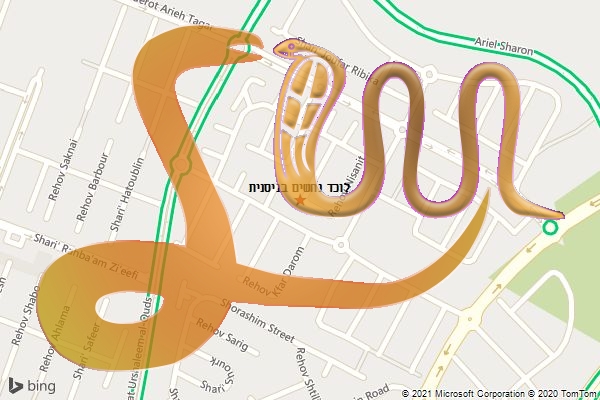 לוכד נחשים בניסנית