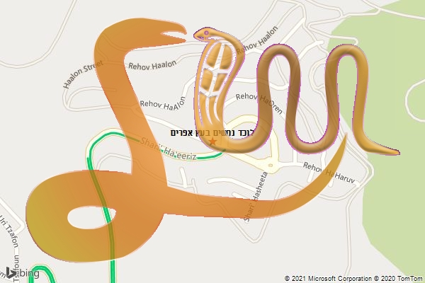 לוכד נחשים בעץ אפרים