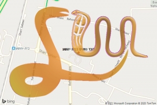 לכידת נחש בבית יהושע - לוכד נחשים בבית יהושע