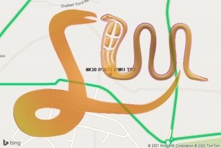 לכידת נחש בכעביה טבאש - לוכד נחשים בכעביה טבאש