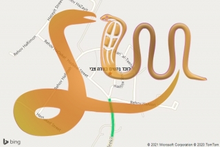 לכידת נחש בשדה צבי - לוכד נחשים בשדה צבי