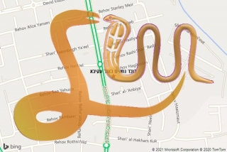 באור עקיבא - לוכד נחשים באור עקיבא