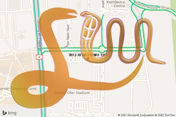 לוכד נחשים בחצרות כרמל