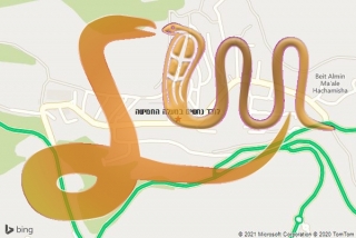 לכידת נחש במעלה החמישה - לוכד נחשים במעלה החמישה