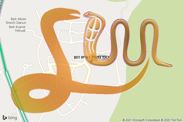לוכד נחשים בשייח דנון