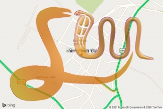 לכידת נחש בריחאניה - לוכד נחשים בריחאניה