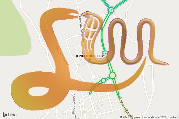 לוכד נחשים במירון