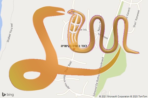 לוכד נחשים בקיסריה