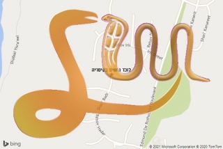  בקיסריה - לוכד נחשים בקיסריה