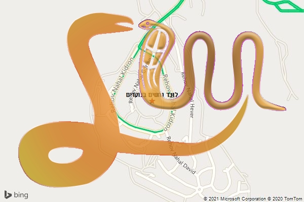 לוכד נחשים בנוקדים