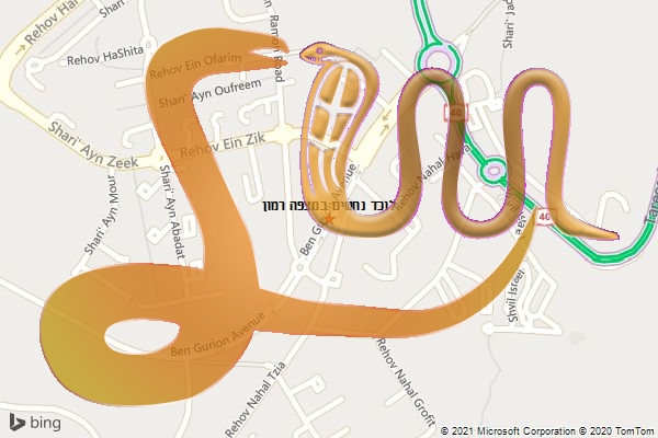 לוכד נחשים במצפה רמון