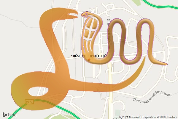 לוכד נחשים בכפר גלעדי