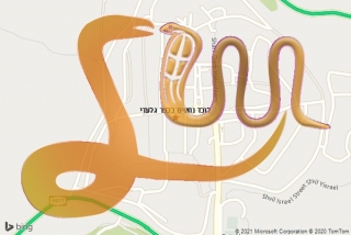 לכידת נחש בכפר גלעדי - לוכד נחשים בכפר גלעדי