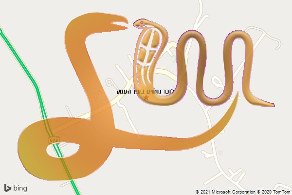 לוכד נחשים בעין העמק