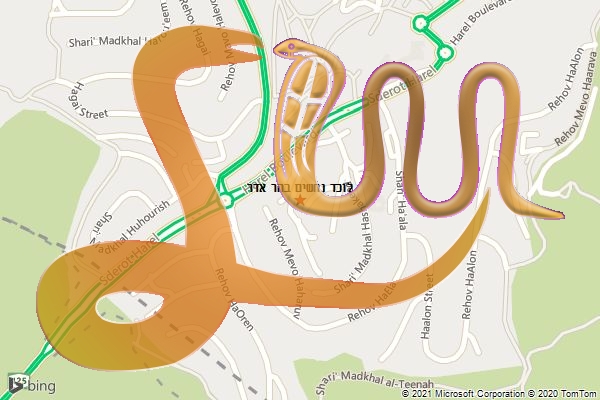 לוכד נחשים בהר אדר