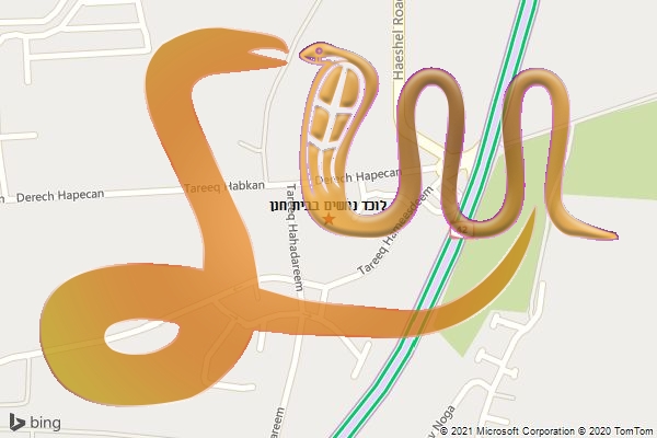 לוכד נחשים בבית חנן