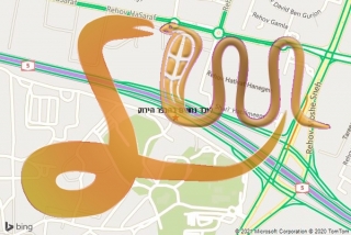 לכידת נחש בהכפר הירוק - לוכד נחשים בהכפר הירוק