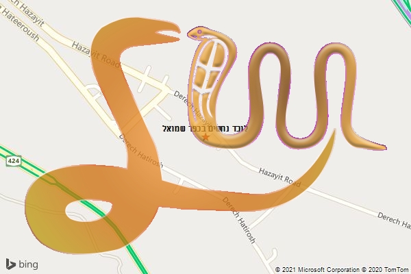 לוכד נחשים בכפר שמואל