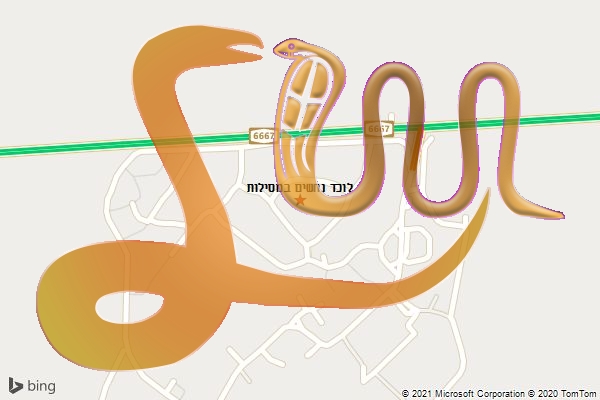 לוכד נחשים במסילות