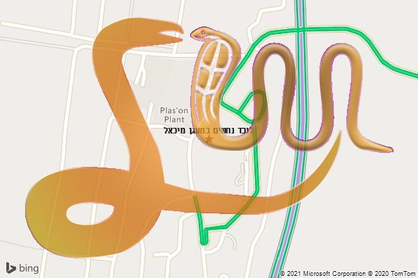 לוכד נחשים במעגן מיכאל