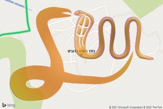 לכידת נחש ברגבים - לוכד נחשים ברגבים