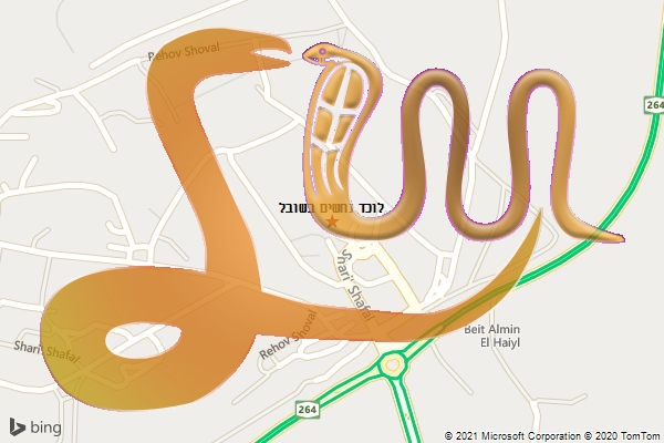 לוכד נחשים בשובל