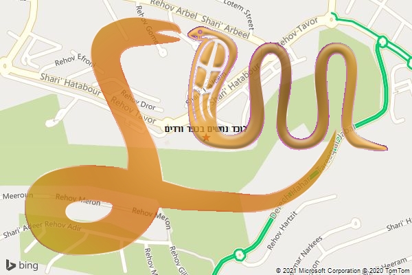 לוכד נחשים בכפר ורדים