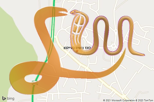לוכד נחשים בעיילבון