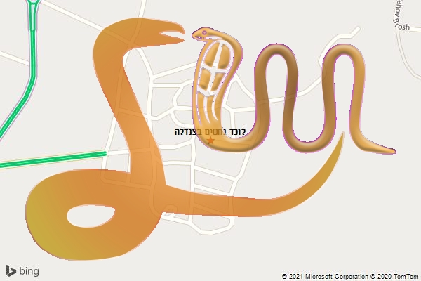 לוכד נחשים בצנדלה