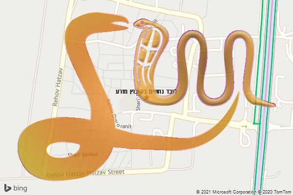 לוכד נחשים בקיבוץ מזרע