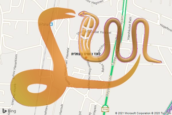 לוכד נחשים בעתלית