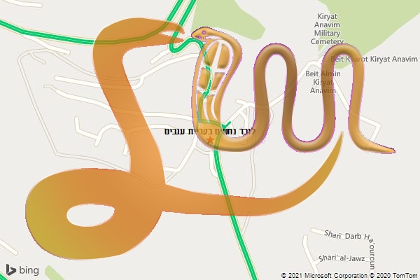 לוכד נחשים בקריית ענבים
