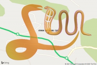 לכידת נחש בעין אסהלה - לוכד נחשים בעין אסהלה