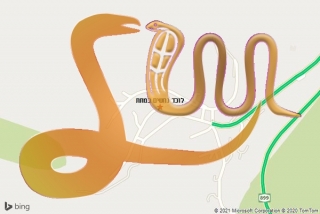 לכידת נחש במתת - לוכד נחשים במתת