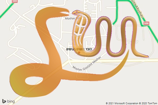 לוכד נחשים בגיתית