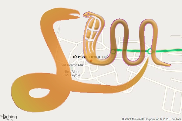 לוכד נחשים במוקייבלה