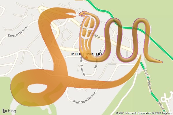 לוכד נחשים בנס הרים