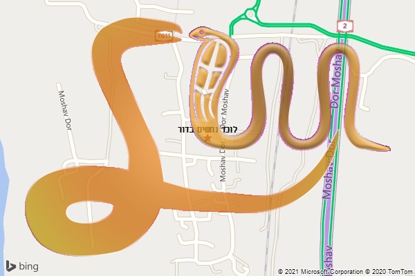 לוכד נחשים בדור