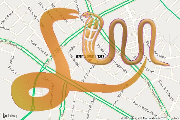 לוכד נחשים בחולון