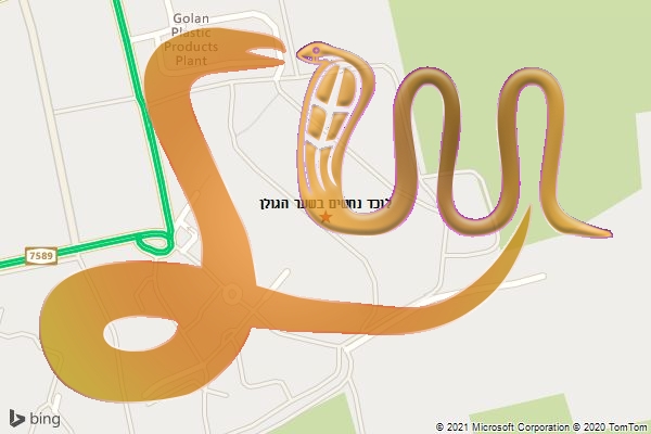 לוכד נחשים בשער הגולן
