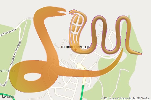 לוכד נחשים במשמר דוד