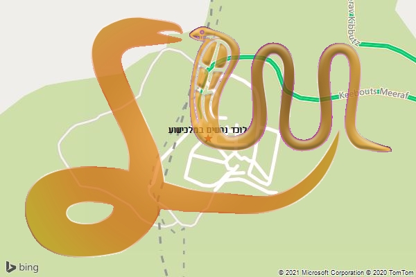 לוכד נחשים במלכישוע